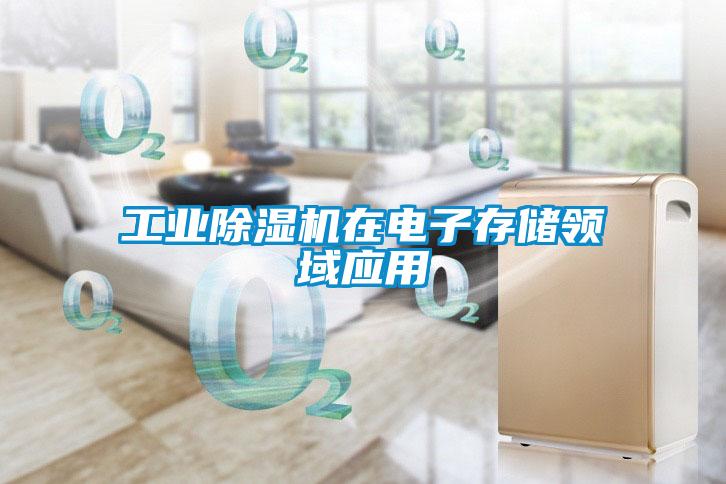 工业91抖音免费看片在电子存储领域应用