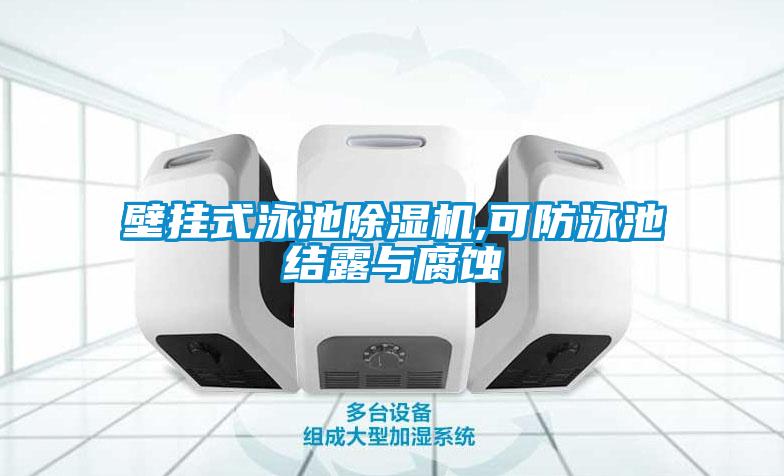 壁挂式泳池91抖音免费看片,可防泳池结露与腐蚀