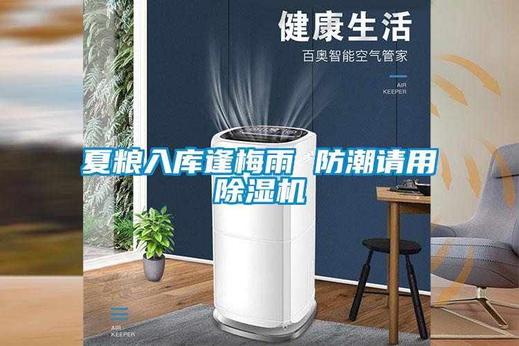 夏粮入库逢梅雨 防潮请用91抖音免费看片
