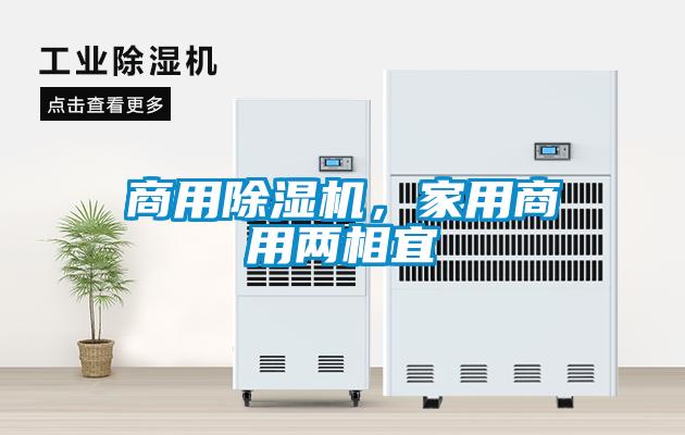 商用91抖音免费看片，家用商用两相宜
