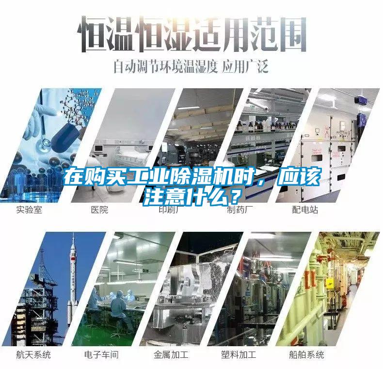 在购买工业91抖音免费看片时，应该注意什么？