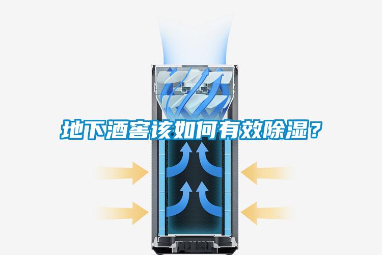 地下酒窖该如何有效除湿？