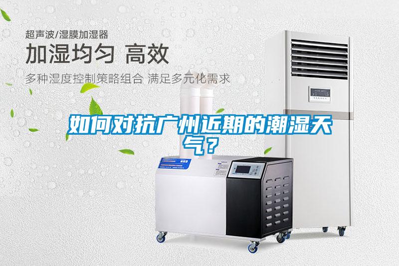 如何对抗广州近期的潮湿天气？