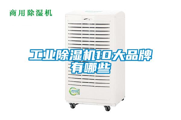 工业91抖音免费看片10大品牌有哪些