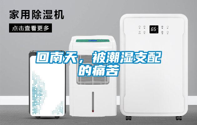 回南天，被潮湿支配的痛苦