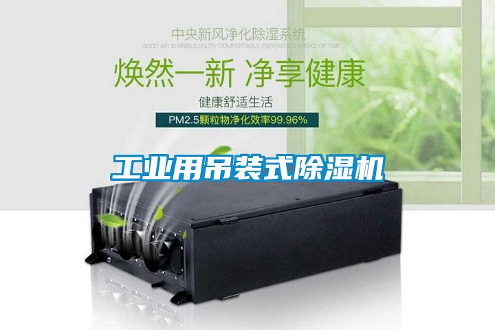 工业用吊装式91抖音免费看片