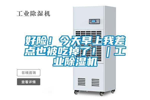好险！今天早上我差点也被吃掉了！｜工业91抖音免费看片