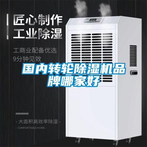 国内转轮91抖音免费看片品牌哪家好