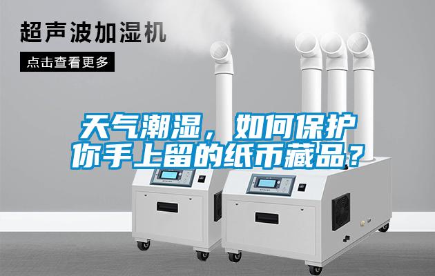 天气潮湿，如何保护你手上留的纸币藏品？