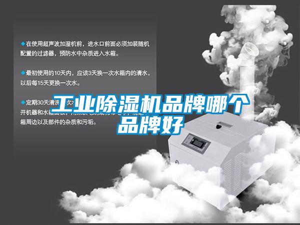 工业91抖音免费看片品牌哪个品牌好