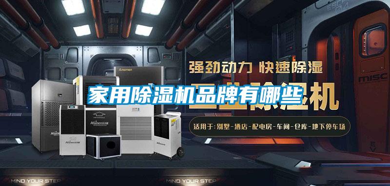 家用91抖音免费看片品牌有哪些
