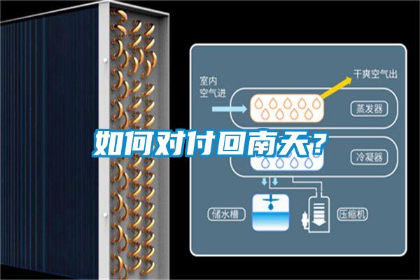 如何对付回南天？
