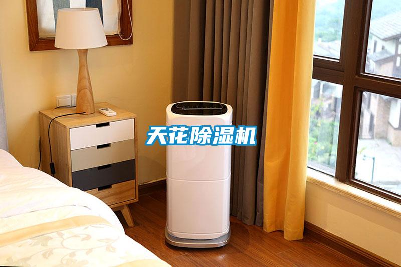 天花91抖音免费看片
