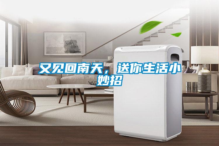 又见回南天，送你生活小妙招