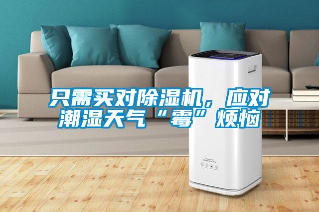 只需买对91抖音免费看片，应对潮湿天气“霉”烦恼
