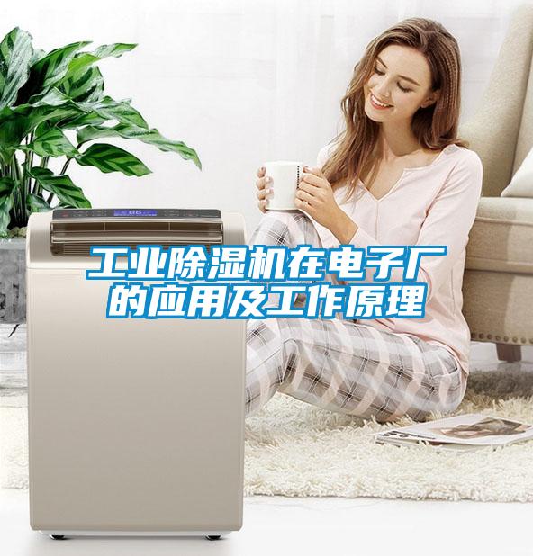 工业91抖音免费看片在电子厂的应用及工作原理