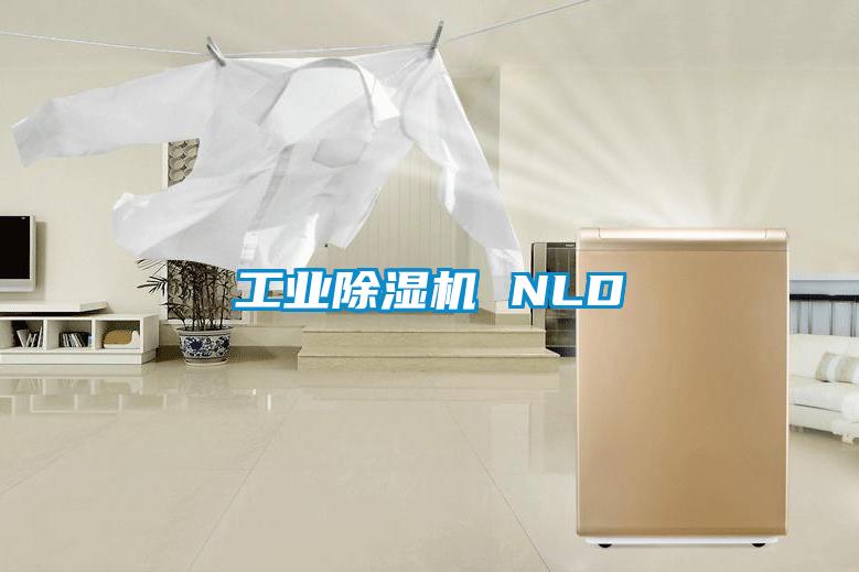 工业91抖音免费看片 NLD