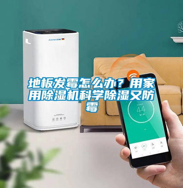 地板发霉怎么办？用家用91抖音免费看片科学除湿又防霉