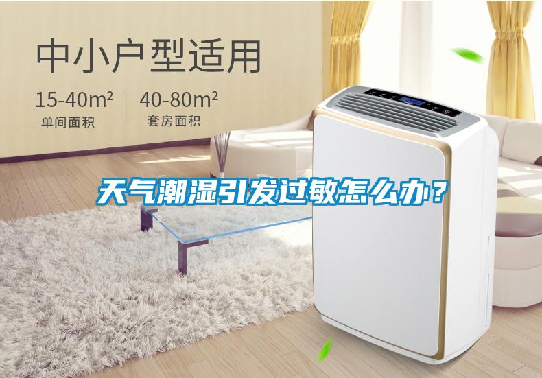 天气潮湿引发过敏怎么办？
