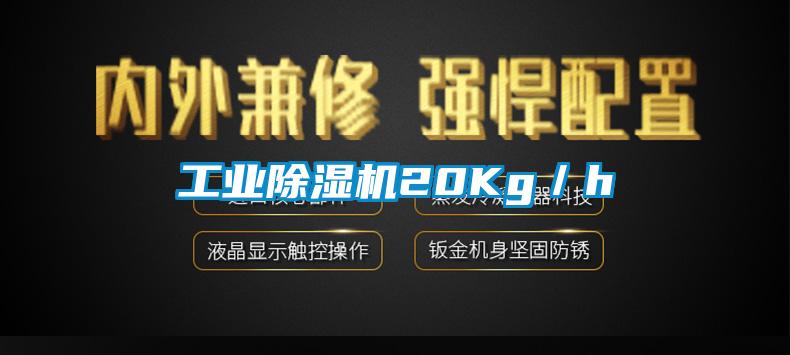 工业91抖音免费看片20Kg／h
