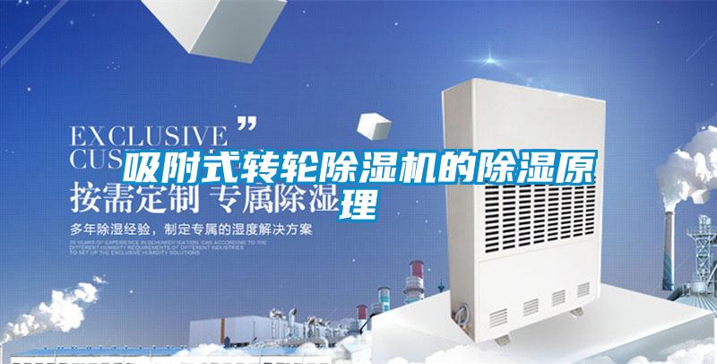吸附式转轮91抖音免费看片的除湿原理