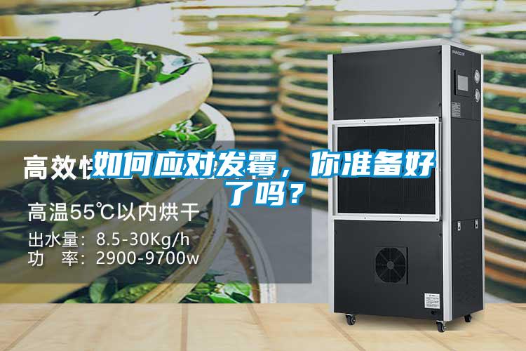 如何应对发霉，你准备好了吗？