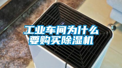 工业车间为什么要购买91抖音免费看片