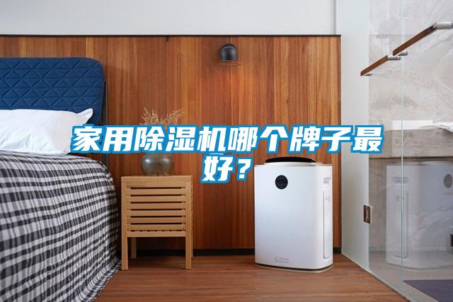 家用91抖音免费看片哪个牌子最好？