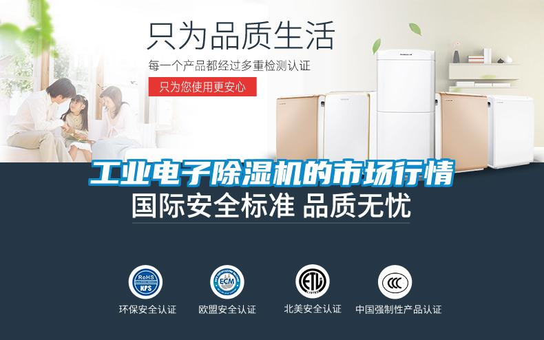 工业电子91抖音免费看片的市场行情