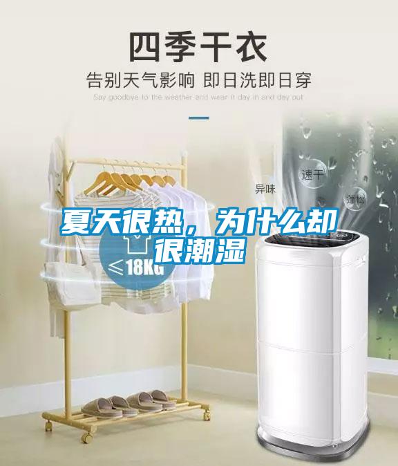 夏天很热，为什么却很潮湿