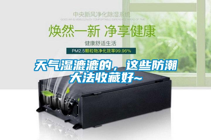 天气湿漉漉的，这些防潮大法收藏好~