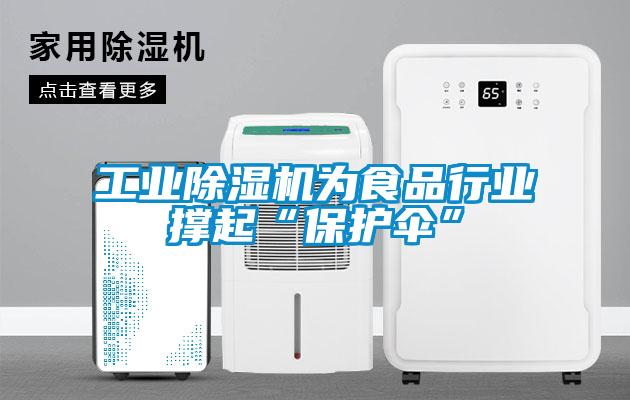 工业91抖音免费看片为食品行业撑起“保护伞”