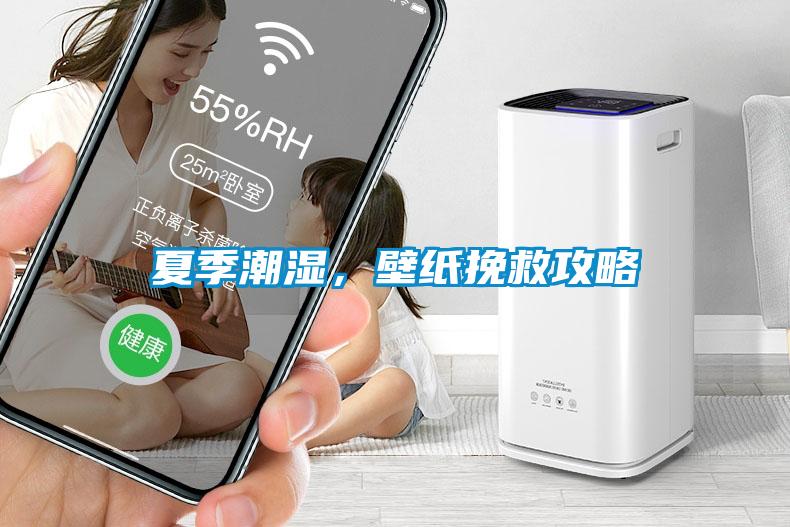 夏季潮湿，壁纸挽救攻略