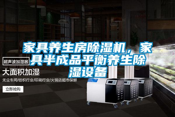 家具养生房91抖音免费看片，家具半成品平衡养生除湿设备