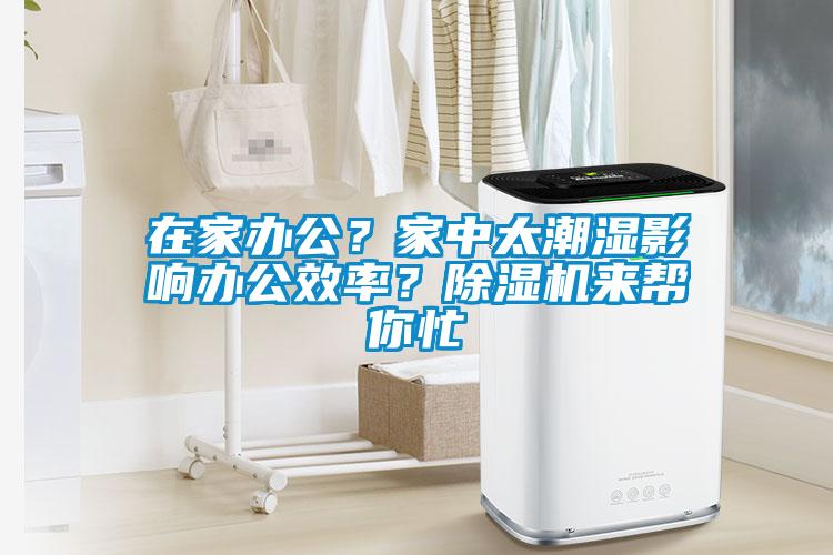 在家办公？家中太潮湿影响办公效率？91抖音免费看片来帮你忙