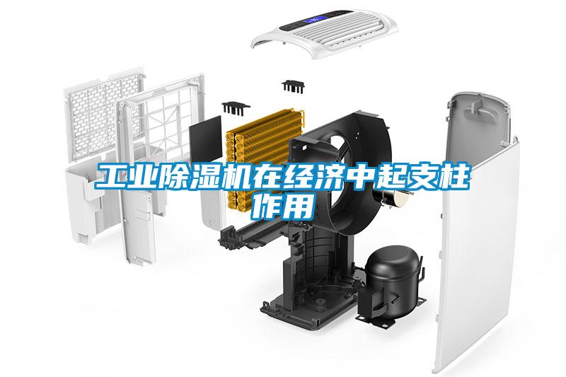 工业91抖音免费看片在经济中起支柱作用