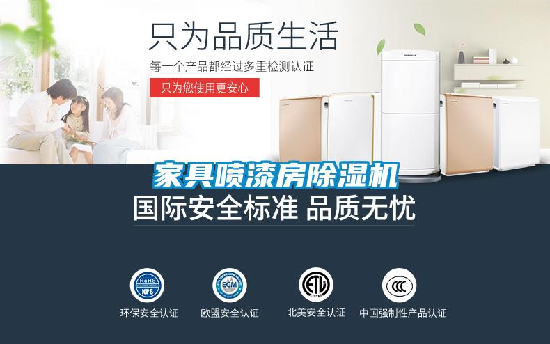 家具喷漆房91抖音免费看片