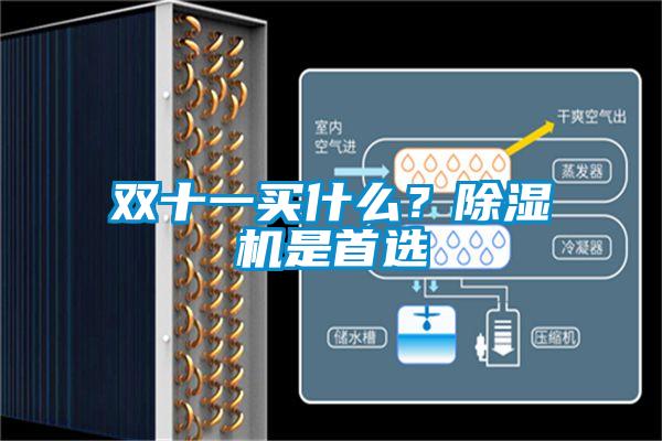 双十一买什么？91抖音免费看片是首选
