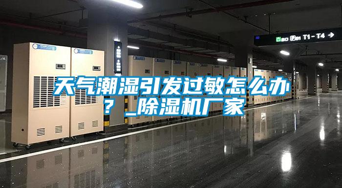 天气潮湿引发过敏怎么办？_91抖音免费看片厂家