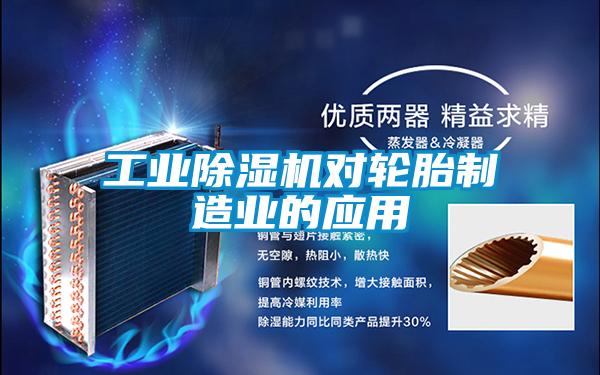 工业91抖音免费看片对轮胎制造业的应用