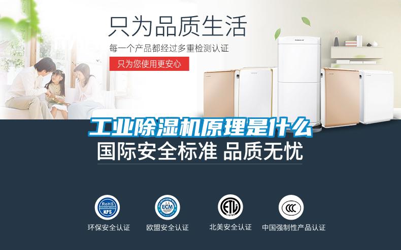 工业91抖音免费看片原理是什么