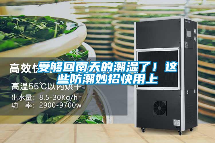 受够回南天的潮湿了！这些防潮妙招快用上