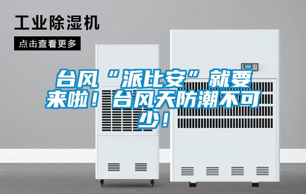 台风“派比安”就要来啦！台风天防潮不可少！
