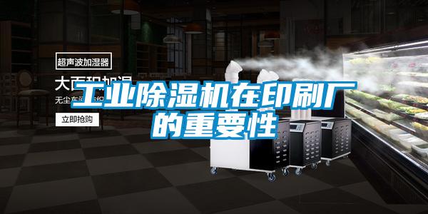 工业91抖音免费看片在印刷厂的重要性