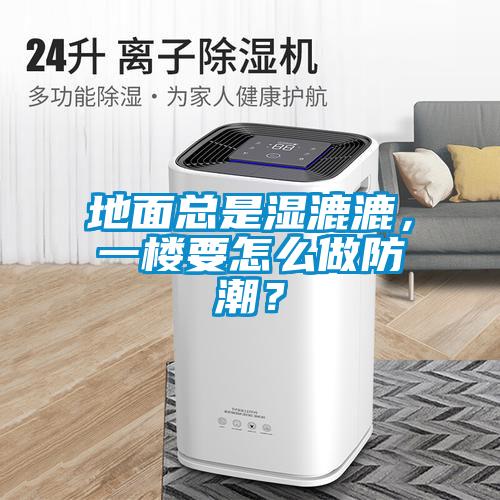 地面总是湿漉漉，一楼要怎么做防潮？