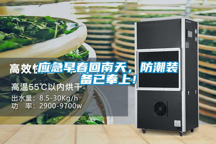 应急早春回南天，防潮装备已奉上！