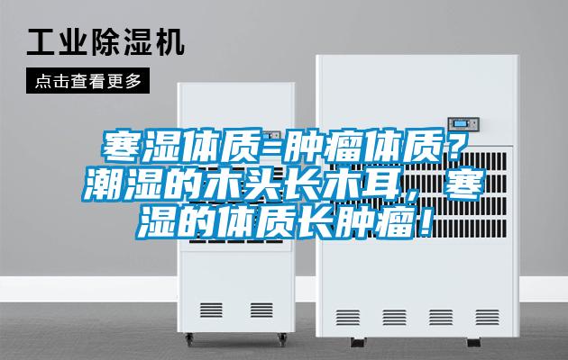 寒湿体质=肿瘤体质？潮湿的木头长木耳，寒湿的体质长肿瘤！