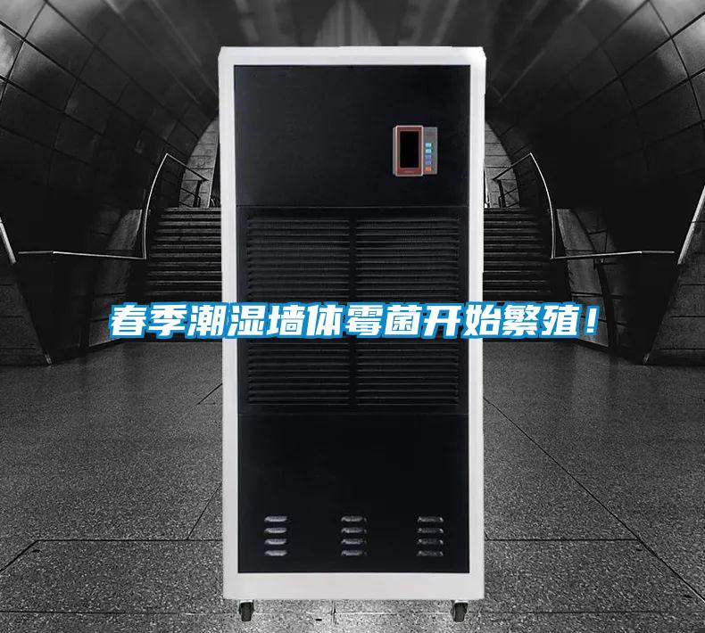 春季潮湿墙体霉菌开始繁殖！