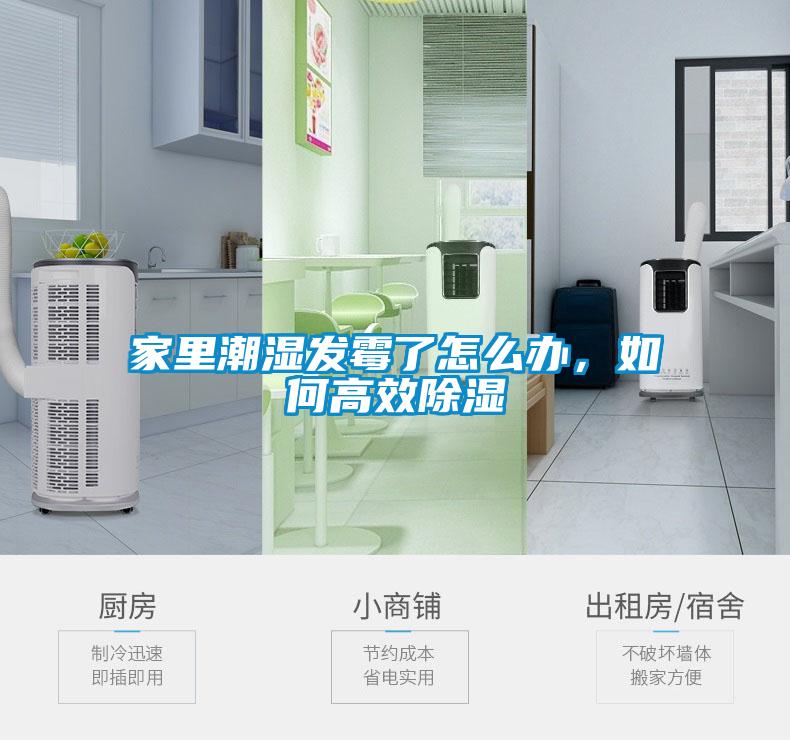 家里潮湿发霉了怎么办，如何高效除湿