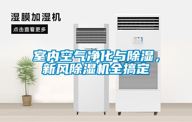 室内空气净化与除湿，新风91抖音免费看片全搞定